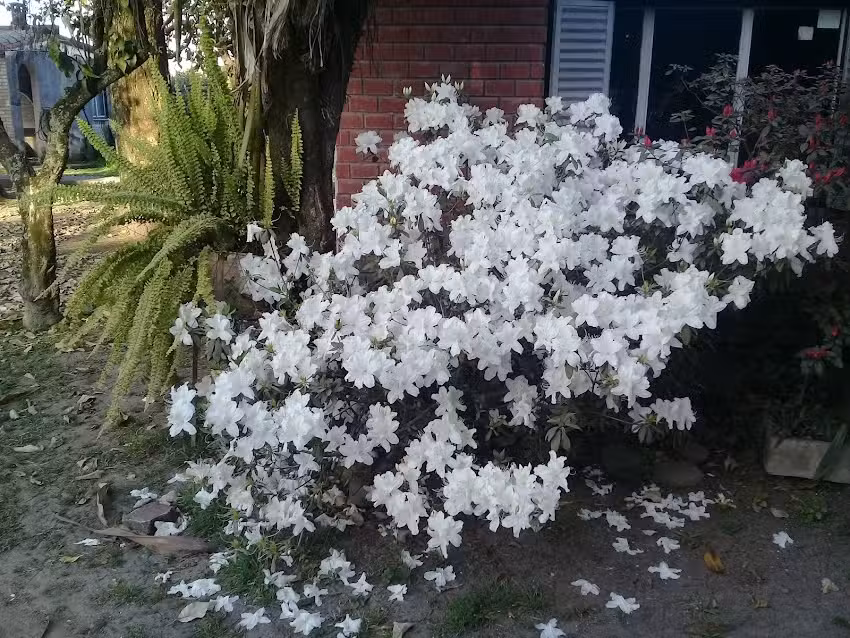 Fot&oacute;grafo Martinez