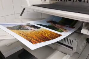 Fotolaboratorio Román S.A.