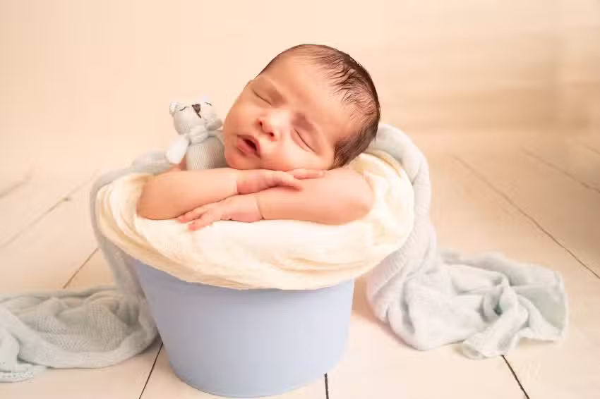 Fresa Fotograf&iacute;a