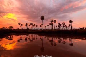 Gaston Godoy Fotograf&iacute;a