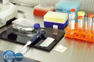 GF Foto Dise&ntilde;o