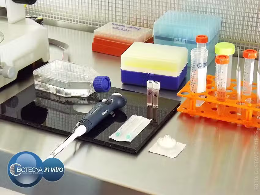 GF Foto Dise&ntilde;o