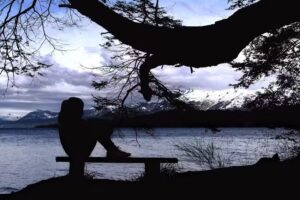 Gisela Gomila Fotografías