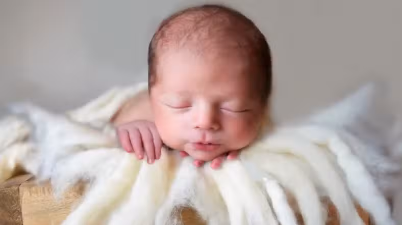 Gisela Romano Fotografia