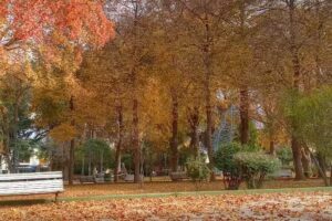 Javier Mart&iacute;nez fotograf&iacute;a