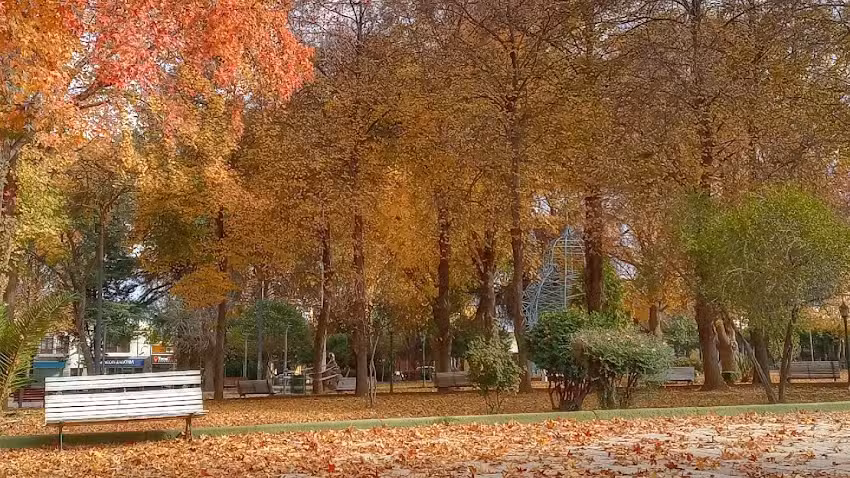 Javier Mart&iacute;nez fotograf&iacute;a