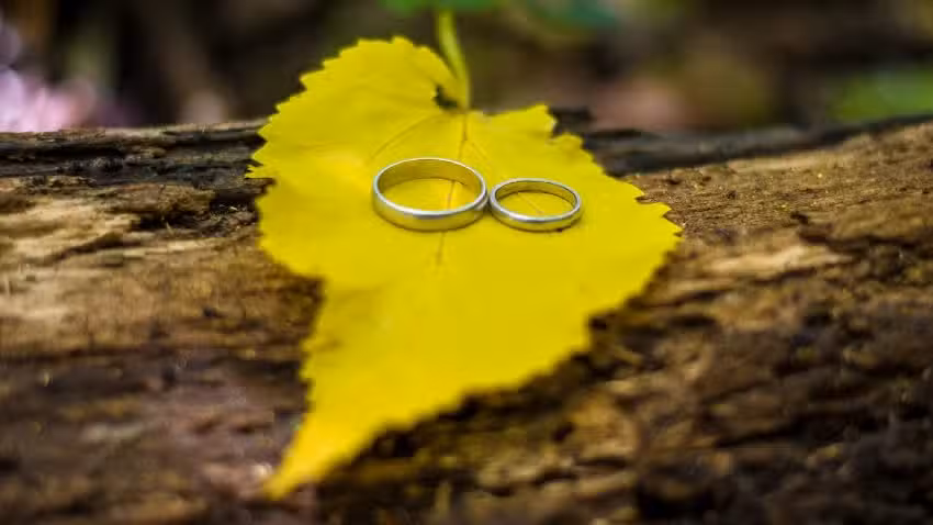 Jime Cuevas Fotograf&iacute;a