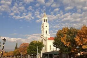 La Guia de Hasenkamp