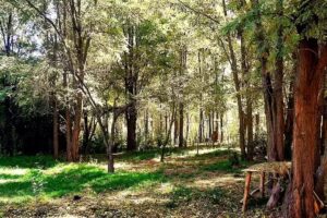 La Habana 419 Yami Villa servicios de Fotograf&iacute;a