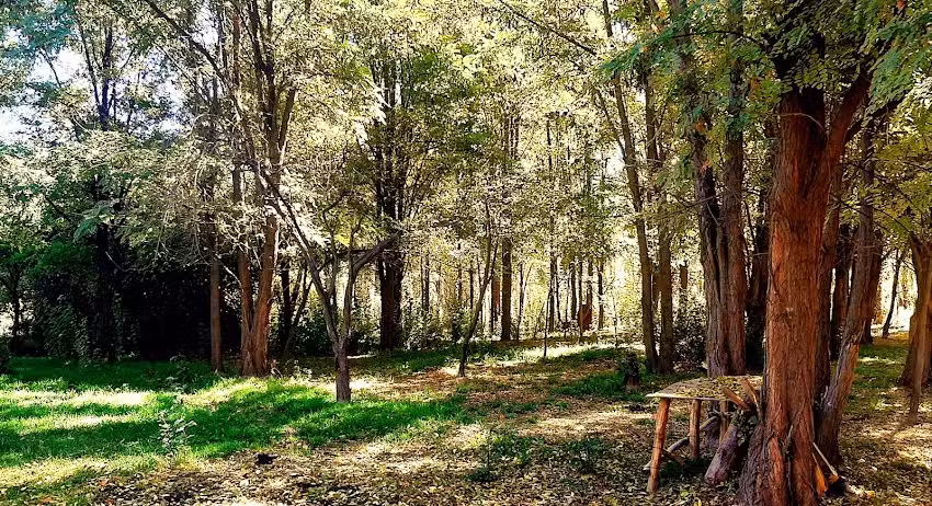 La Habana 419 Yami Villa servicios de Fotograf&iacute;a