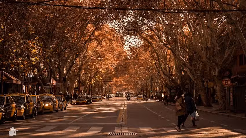 Lequi Fotograf&iacute;a