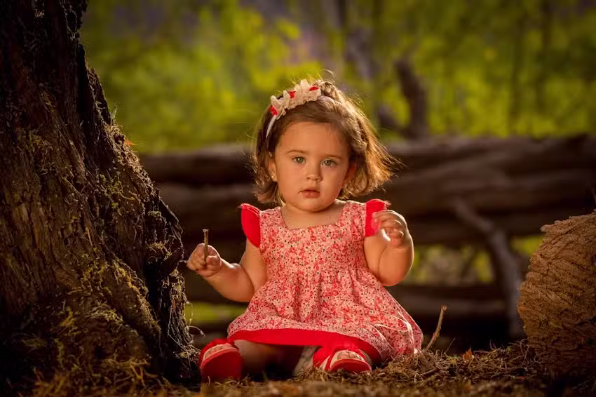 Lucho Flores Fotografia