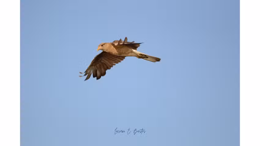 Luciano Bustos Fotograf&iacute;a