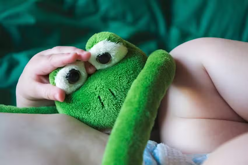 Luciernaga fotografia