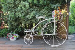 Mansi&oacute;n Cascabel