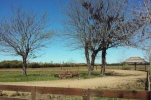 Marcelo Sosa Fotograf&iacute;a