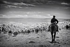 Marcos Furer Photography Gallery