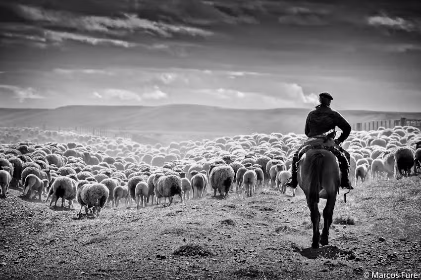 Marcos Furer Photography Gallery