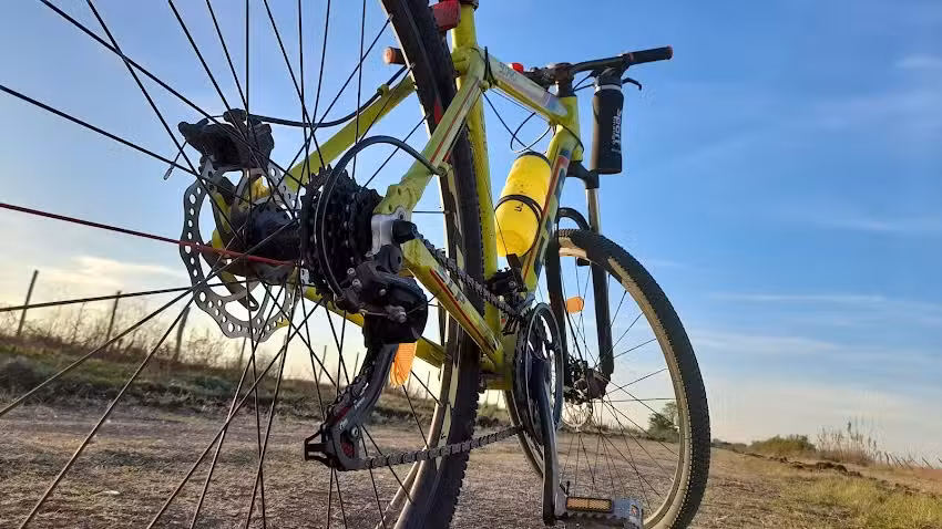 Maria Celeste Fotografia