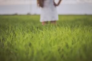 Mariana Feck Fotografía