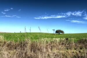 Mauricio Caminos Fot&oacute;grafo