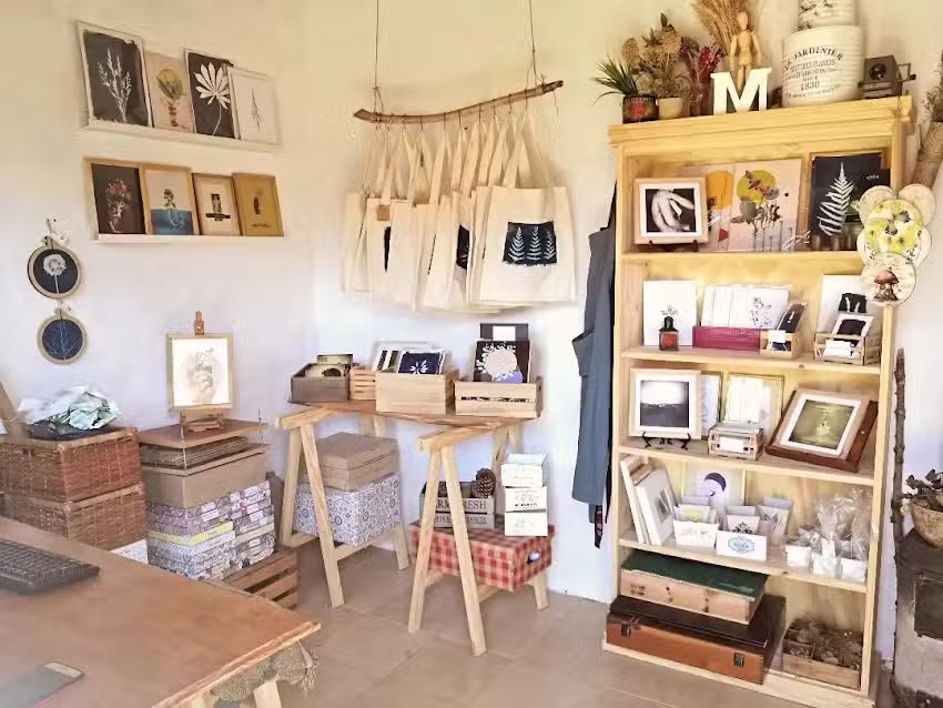 Mercedes Fittipaldi Tienda y Taller de Arte