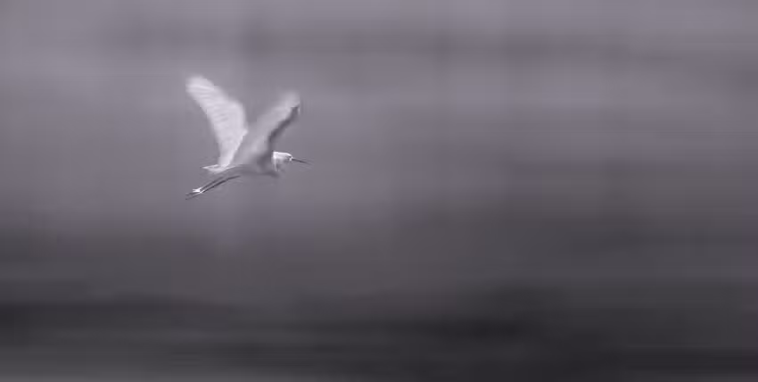 M&oacute;nica Aroza Fotograf&iacute;a Profesional