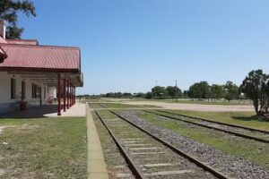 Nyana Media Video Contenidos