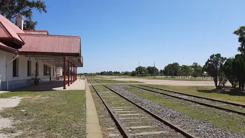 Nyana Media Video Contenidos