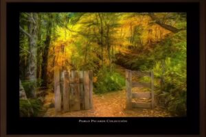 Pablo Picardi Fotograf&iacute;a