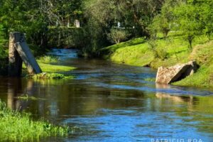 Patricio Roa Fotogr&aacute;fo
