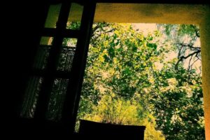 Pro Natura Documental