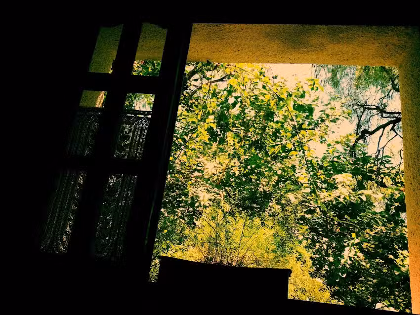 Pro Natura Documental