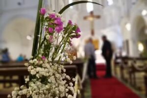 Proluvar Producciones