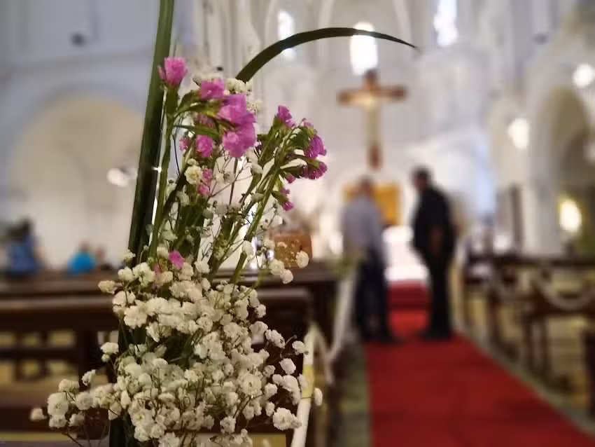 Proluvar Producciones