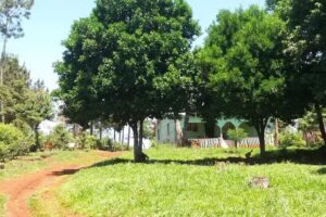 PROVIDEO SAN JUAN BOSCO