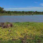 Punto fotogr&aacute;fico