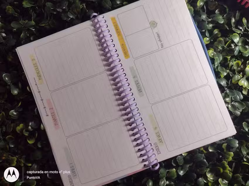 PuntoVA gr&aacute;fica