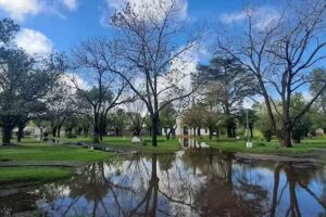 Saunders Photography