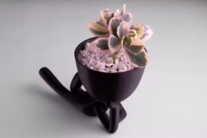 Sebastian Cecere producciones fotograf&iacute;cas