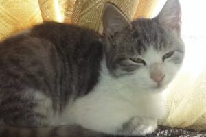 Sergio Arce Fotografia