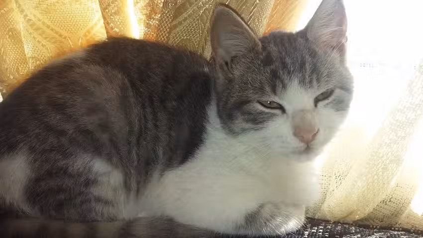 Sergio Arce Fotografia