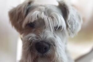 Sergio Peñalva Fotografias