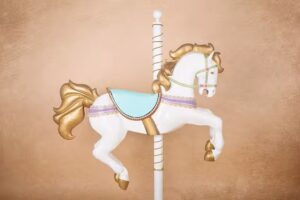 Sol L&oacute;pez Fotografia