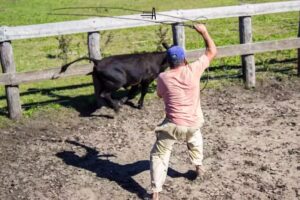 STUDIO A_ FOTO, VIDEO & MARKETING