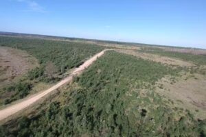 Tierra de H&eacute;roes Fotograf&iacute;a