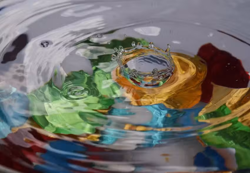 Wzi Fotograf&iacute;a