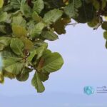 Yan Land Estudio Fotogr&aacute;fico y Audiovisual