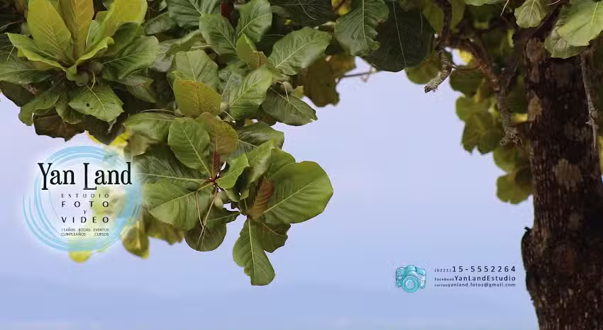Yan Land Estudio Fotogr&aacute;fico y Audiovisual