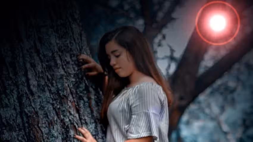 Z2 Fotografia & Video